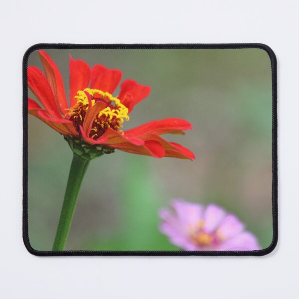 Item preview, Growing designed and sold by Olivia Plasencia.