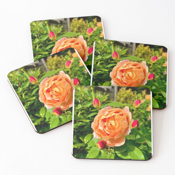 Item preview, Pat Austin Rose designed and sold by DPalinPhotography.