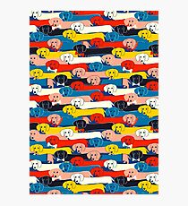 COLORED CUTE DOGS PATTERN 2 Photographic Print