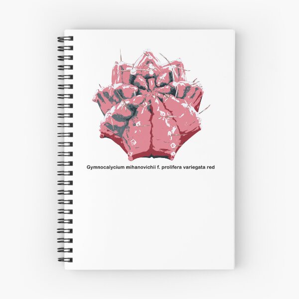 Item preview, Educational Gymnocalycium mihanovichii prolifera variegata red designed and sold by Doooriginals.