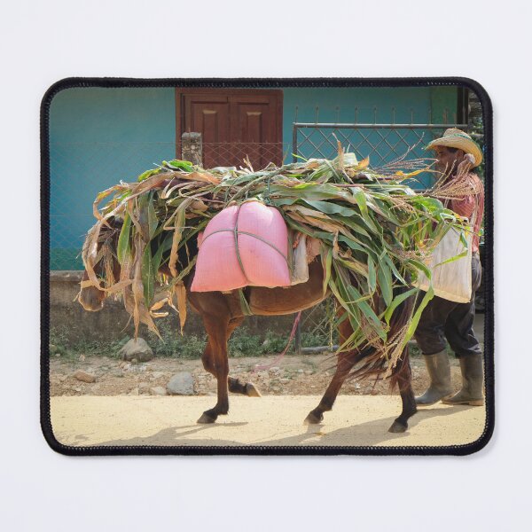 Item preview, Carrying Crops designed and sold by EmmelineKlatt.