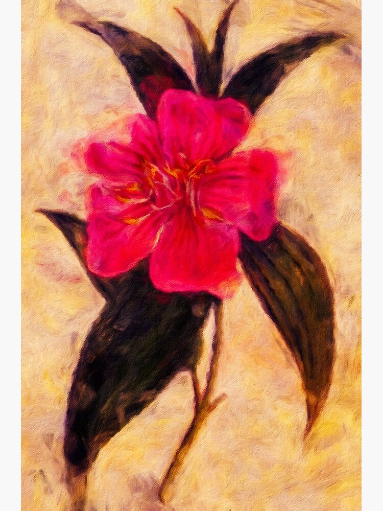 William Curtis' Botanical Magazine Volume XV, Cinnamon-Leaved Melastoma Reworked by 8th-and-f