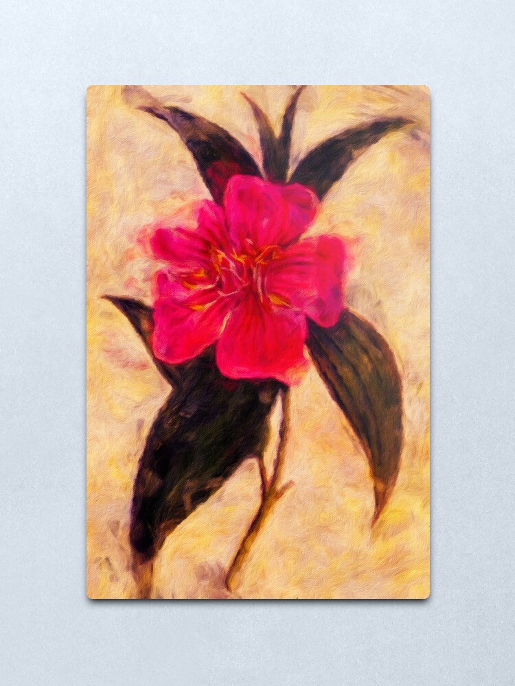 Alternate view of William Curtis' Botanical Magazine Volume XV, Cinnamon-Leaved Melastoma Reworked Metal Print