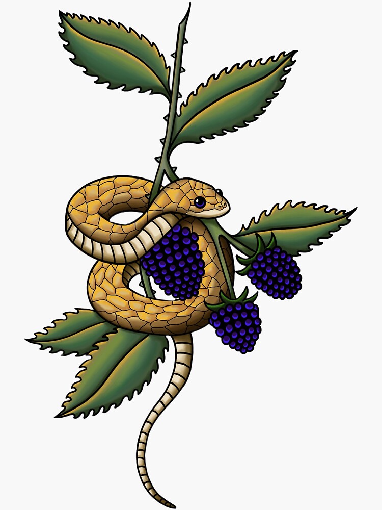 Fern and blackberries by Alice Kendall at Wonderland Tattoo Studio in  Portland, OR. : r/tattoos