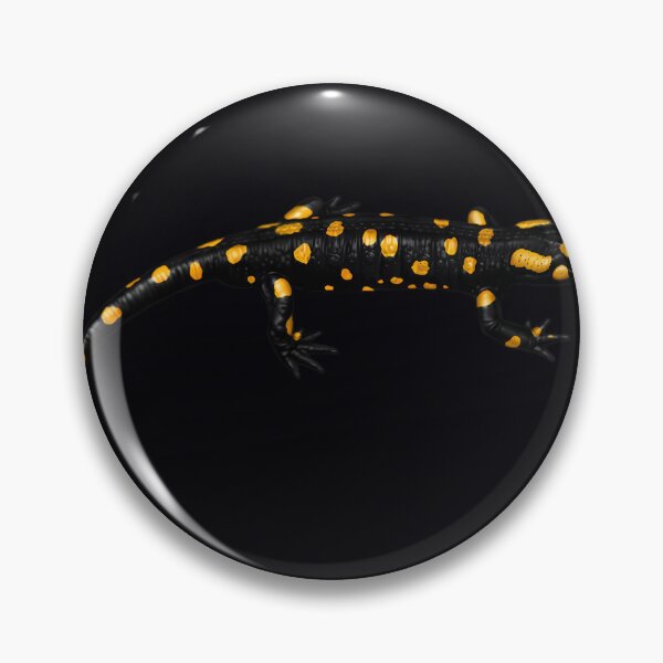 Item preview, Salamandra común (Salamandra salamandra) designed and sold by dlcbeleozq63.