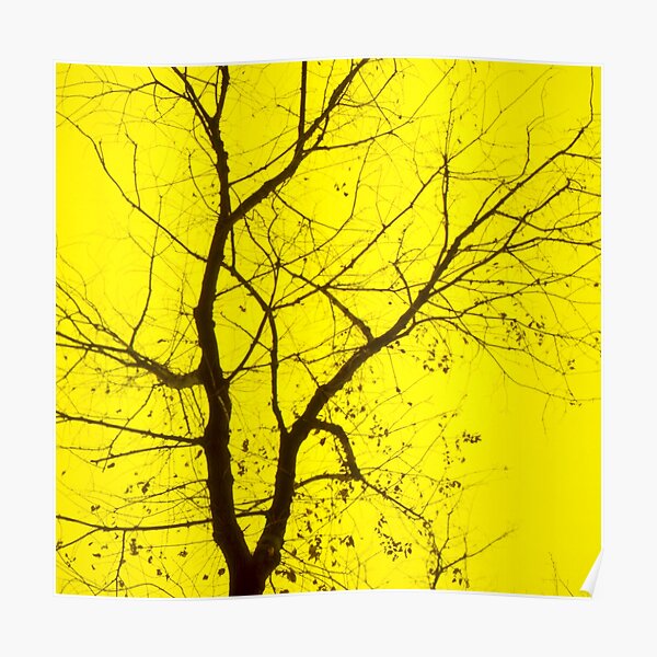 Central Yellow Tree Poster