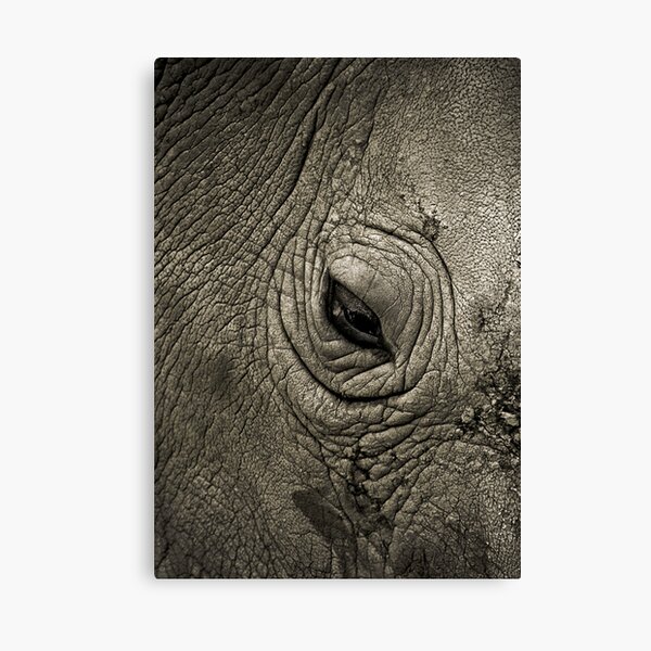 Cracks Canvas Print