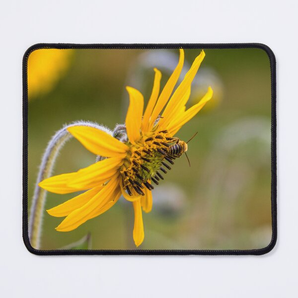 Item preview, His Idleness a Tune designed and sold by KEnzPhotography.