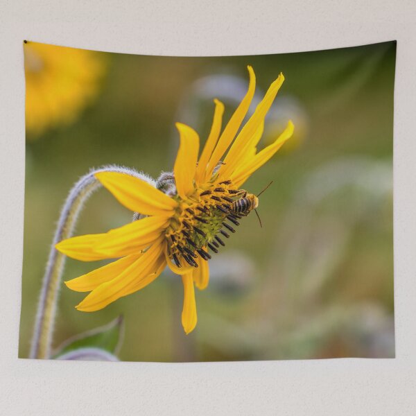 Item preview, His Idleness a Tune designed and sold by KEnzPhotography.