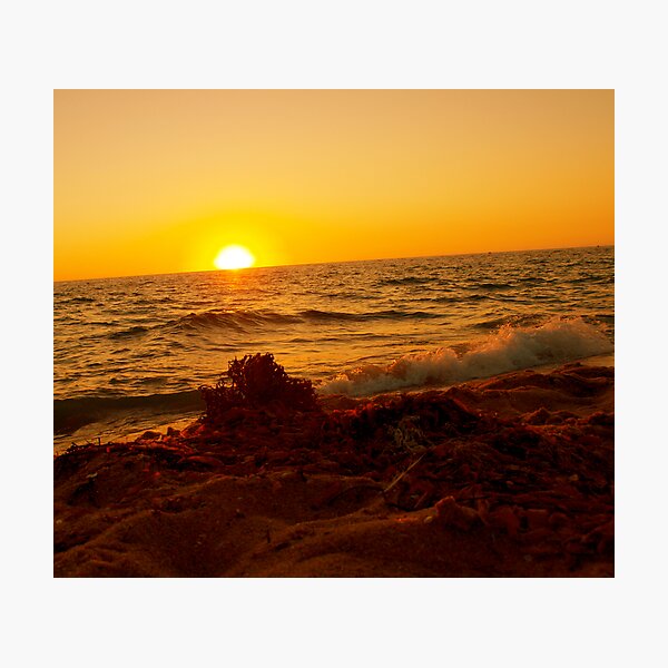 Item preview, sea weed  at sundown  designed and sold by Niisophotos.