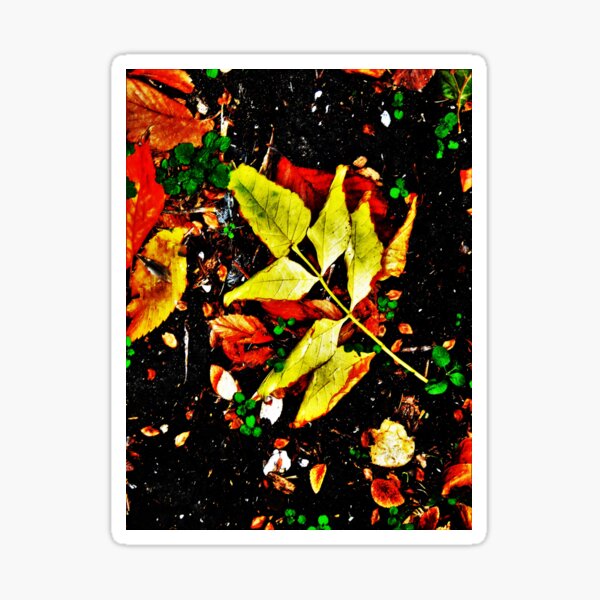 Item preview, Night Colors designed and sold by jparo4o8.