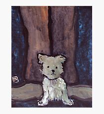 Small Dog Big Feet Photographic Print