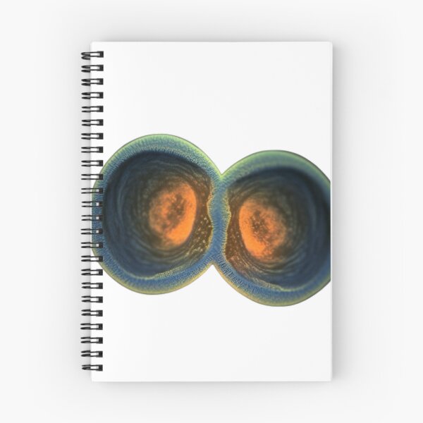 Item preview, Daphnia designed and sold by Tee Studio.