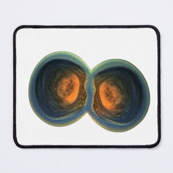 Item preview, Daphnia designed and sold by Tee Studio.