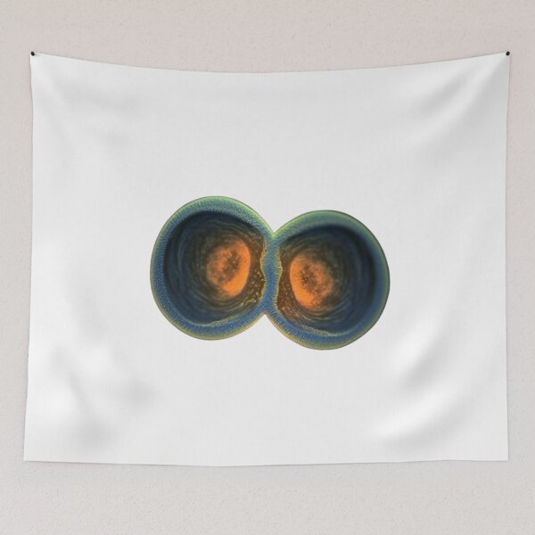 Item preview, Daphnia designed and sold by Tee Studio.