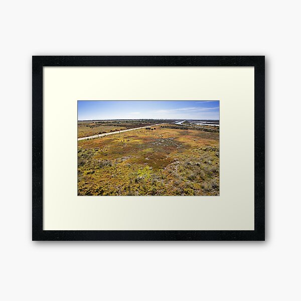Cheetham Wetlands Framed Art Print