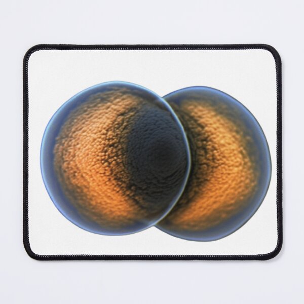 Item preview, Daphnia designed and sold by Tee Studio.