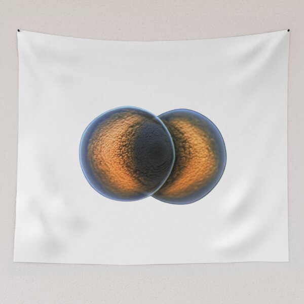 Item preview, Daphnia designed and sold by Tee Studio.