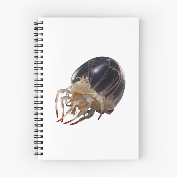Item preview, Daphnia designed and sold by Tee Studio.