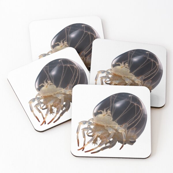 Item preview, Daphnia designed and sold by Tee Studio.