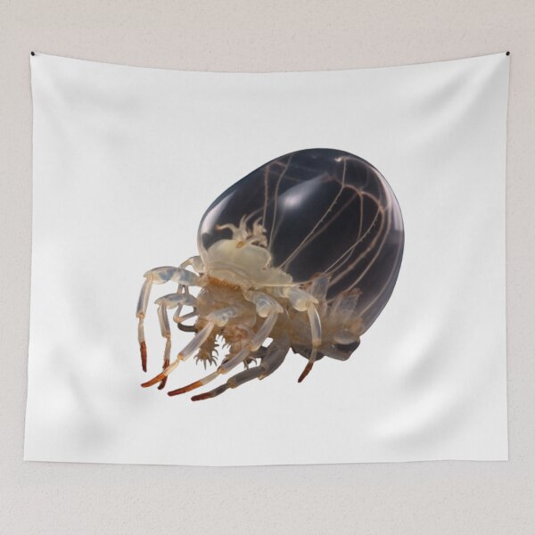 Item preview, Daphnia designed and sold by Tee Studio.
