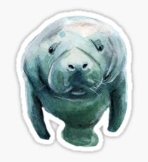 Mister Manatee - No BG Sticker