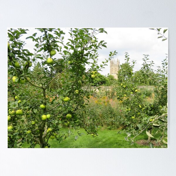 Item preview, Apple Pie for the Castle designed and sold by kiwikarenm.