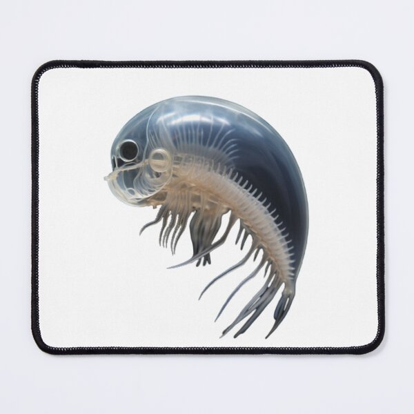 Item preview, Daphnia designed and sold by Tee Studio.