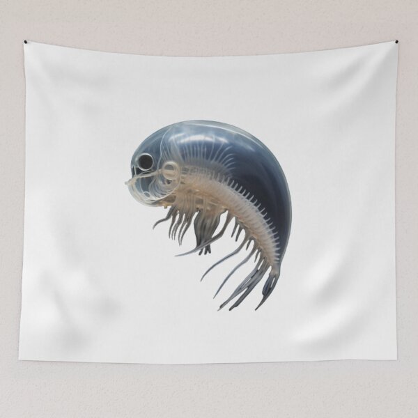 Item preview, Daphnia designed and sold by Tee Studio.