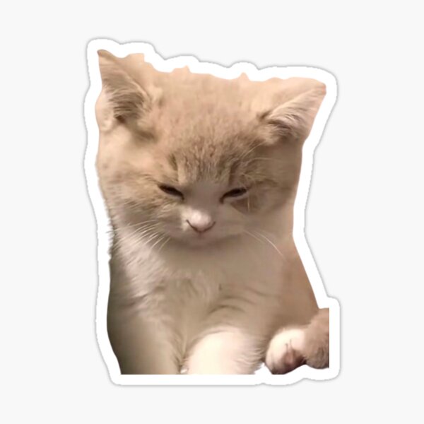 cat rob lox handsome face meme cute Sticker for Sale by aartleena