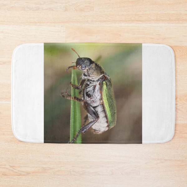 Item preview, Dichelonyx sp. beetle on a blade of grass designed and sold by SDym Photography.