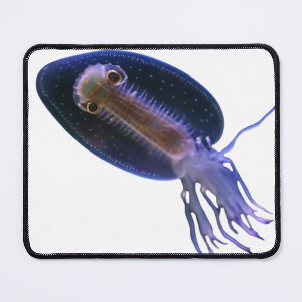 Item preview, Daphnia designed and sold by Tee Studio.
