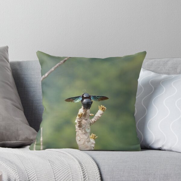 Item preview, Beetle designed and sold by JoBurger.
