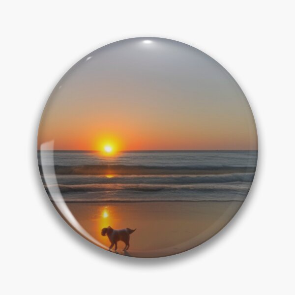 Item preview, dog at the beach shirts, dog beach apparel designed and sold by Thehobbiehouse.