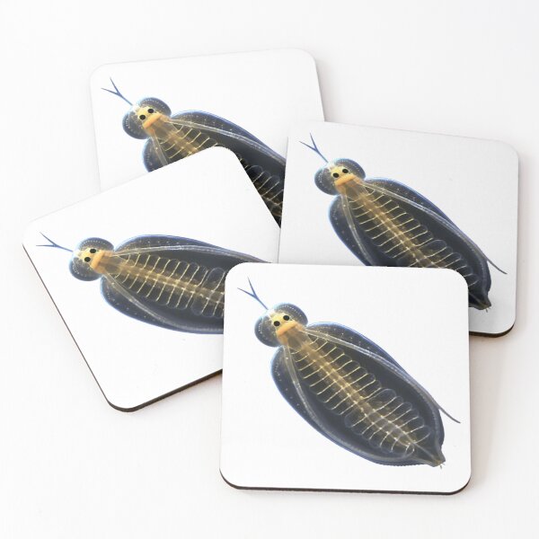 Item preview, Daphnia designed and sold by Tee Studio.