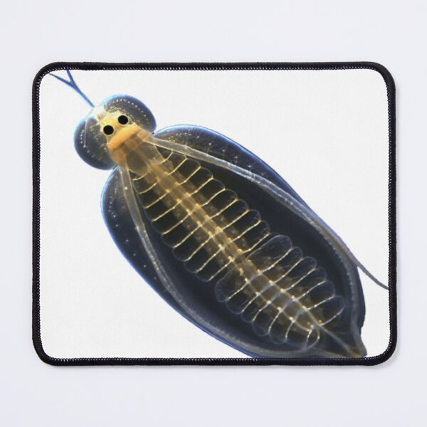 Item preview, Daphnia designed and sold by Tee Studio.