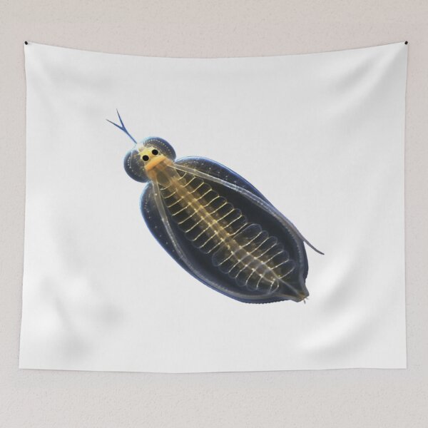 Item preview, Daphnia designed and sold by Tee Studio.