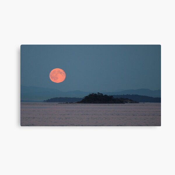 Mayne Island Blue Moon rise Canvas Print