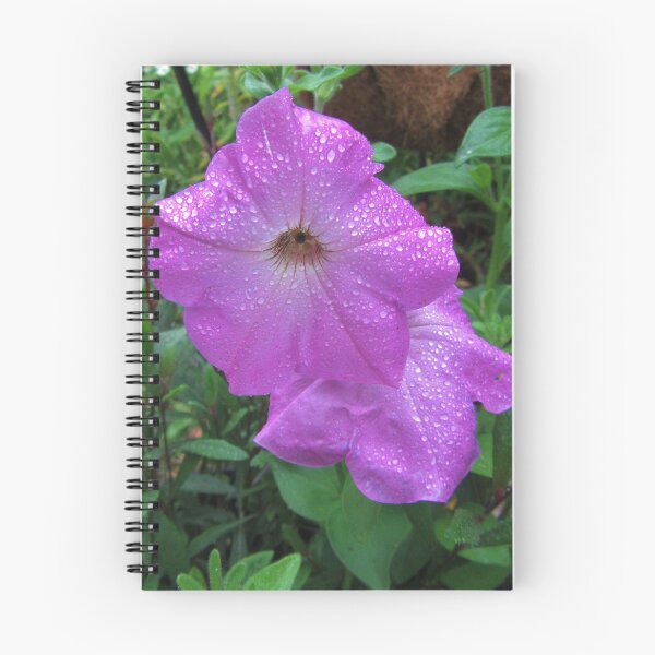 Item preview, Petunias In The Rain designed and sold by lezvee.
