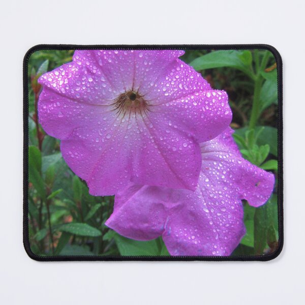 Item preview, Petunias In The Rain designed and sold by lezvee.