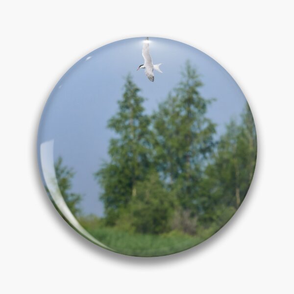 Item preview, Fishing time. Common tern designed and sold by Jouko Lehto Photography.