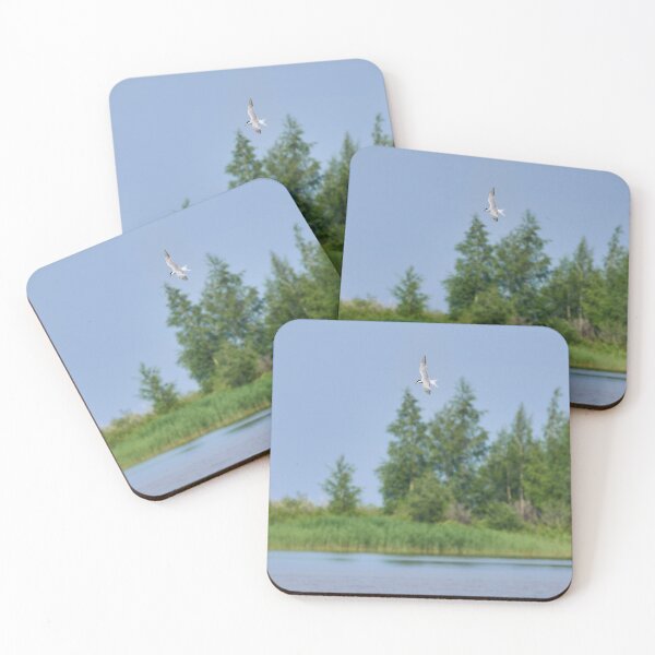 Item preview, Fishing time. Common tern designed and sold by Jouko Lehto Photography.