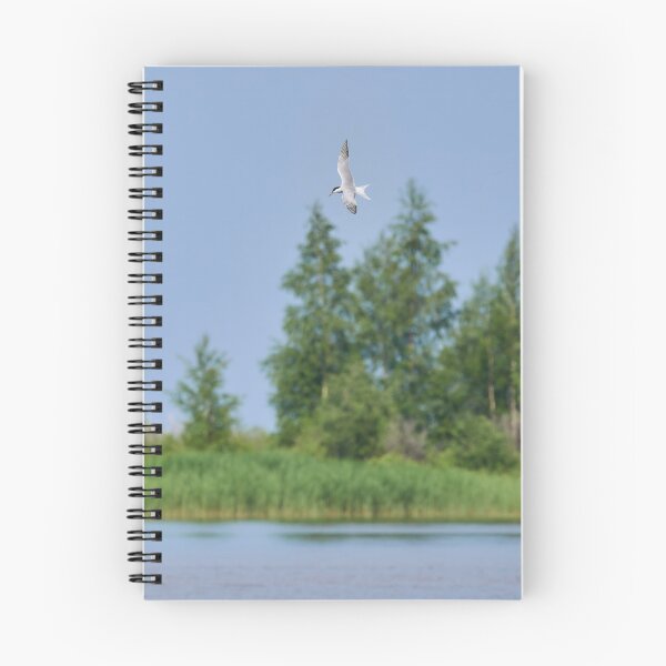 Item preview, Fishing time. Common tern designed and sold by Jouko Lehto Photography.