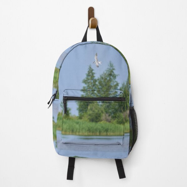 Item preview, Fishing time. Common tern designed and sold by Jouko Lehto Photography.