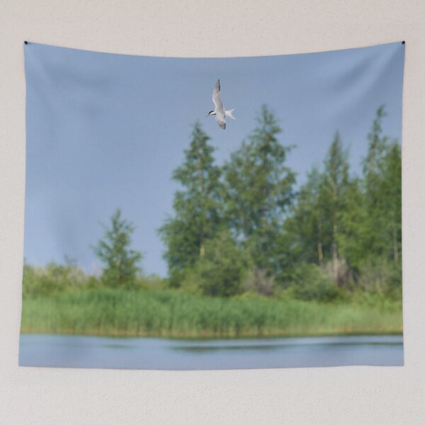 Item preview, Fishing time. Common tern designed and sold by Jouko Lehto Photography.