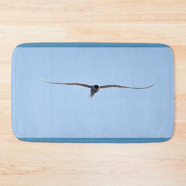Item preview, Common tern open panorama designed and sold by Jouko Lehto Photography.