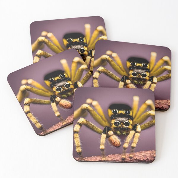 Item preview, cute spider with young on back designed and sold by DieKuenstlerei.