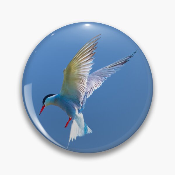 Item preview, Hovering  Common Tern designed and sold by Dalyndigital Photography.