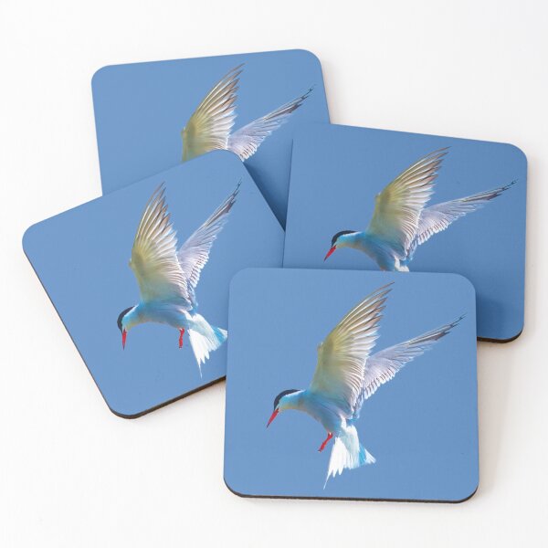 Item preview, Hovering  Common Tern designed and sold by Dalyndigital Photography.