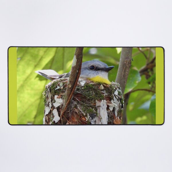 Item preview, Eastern Yellow robin at home. designed and sold by Mark Grimsley.
